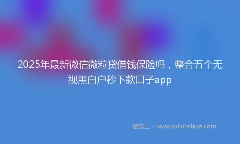 2025年最新微信微粒贷借钱保险吗，整合五个无视黑白户秒下款口子app