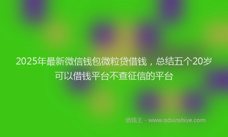 2025年最新微信钱包微粒贷借钱，总结五个20岁可以借钱平台不查征信的平台