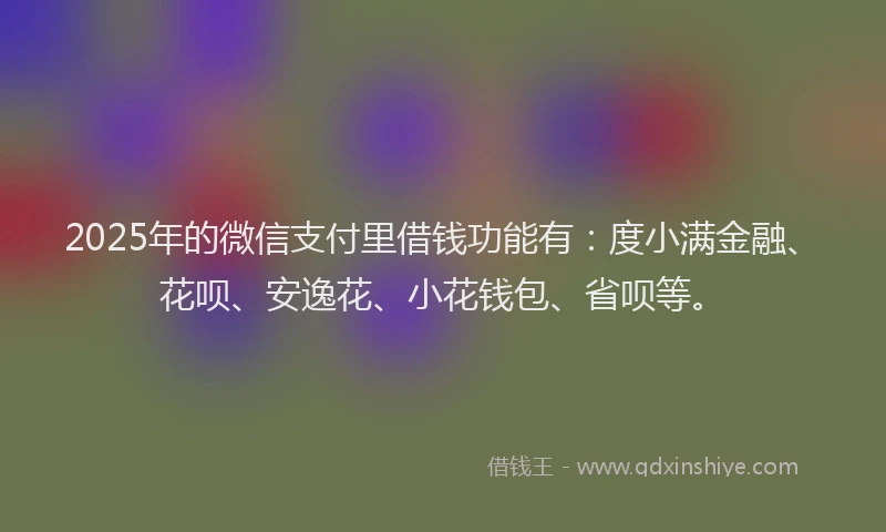 2025年的微信支付里借钱功能有：度小满金融、花呗、安逸花、小花钱包、省呗等。