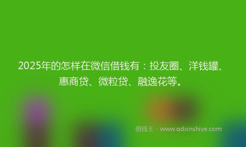 2025年的怎样在微信借钱有：投友圈、洋钱罐、惠商贷、微粒贷、融逸花等。