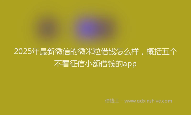 2025年最新微信的微米粒借钱怎么样，概括五个不看征信小额借钱的app