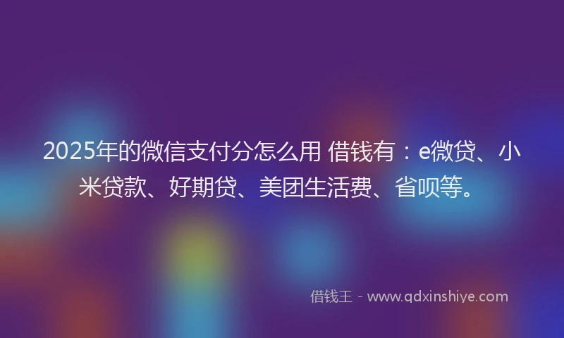 2025年的微信支付分怎么用 借钱有：e微贷、小米贷款、好期贷、美团生活费、省呗等。
