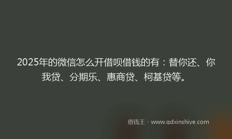 2025年的微信怎么开借呗借钱的有:替你还、你我贷、分期乐、惠商贷、柯基贷等。