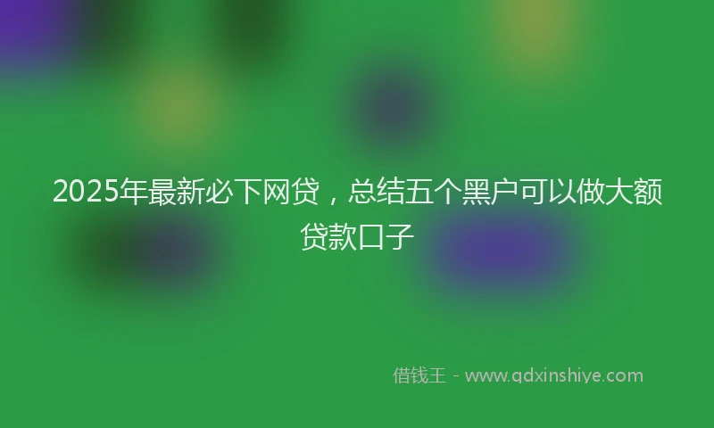 2025年最新必下网贷，总结五个黑户可以做大额贷款口子