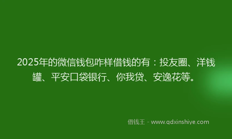 2025年的微信钱包咋样借钱的有：投友圈、洋钱罐、平安口袋银行、你我贷、安逸花等。
