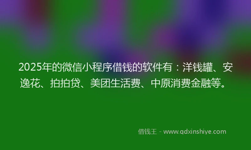 2025年的微信小程序借钱的软件有：洋钱罐、安逸花、拍拍贷、美团生活费、中原消费金融等。