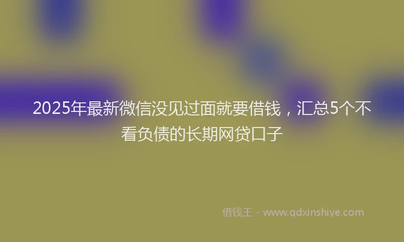2025年最新微信没见过面就要借钱，汇总5个不看负债的长期网贷口子
