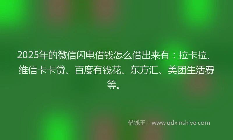 2025年的微信闪电借钱怎么借出来有：拉卡拉、维信卡卡贷、百度有钱花、东方汇、美团生活费等。