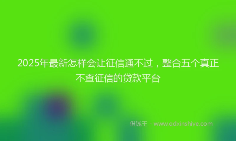 2025年最新怎样会让征信通不过，整合五个真正不查征信的贷款平台