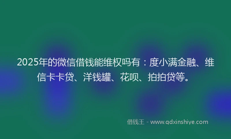 2025年的微信借钱能维权吗有：度小满金融、维信卡卡贷、洋钱罐、花呗、拍拍贷等。