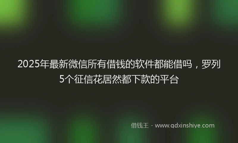 2025年最新微信所有借钱的软件都能借吗，罗列5个征信花居然都下款的平台
