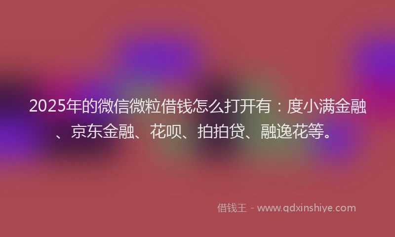 2025年的微信微粒借钱怎么打开有：度小满金融、京东金融、花呗、拍拍贷、融逸花等。
