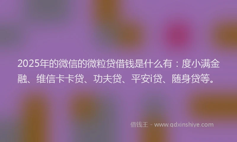 2025年的微信的微粒贷借钱是什么有：度小满金融、维信卡卡贷、功夫贷、平安i贷、随身贷等。