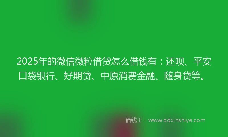 2025年的微信微粒借贷怎么借钱有：还呗、平安口袋银行、好期贷、中原消费金融、随身贷等。