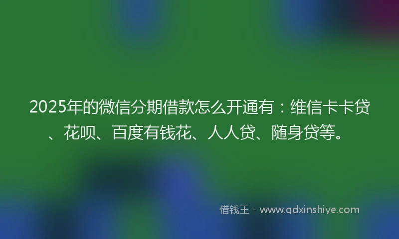 2025年的微信分期借款怎么开通有：维信卡卡贷、花呗、百度有钱花、人人贷、随身贷等。