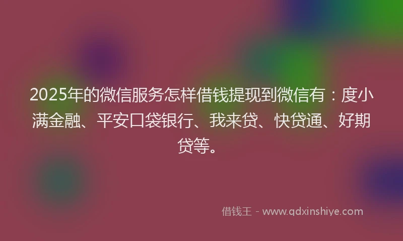2025年的微信服务怎样借钱提现到微信有：度小满金融、平安口袋银行、我来贷、快贷通、好期贷等。