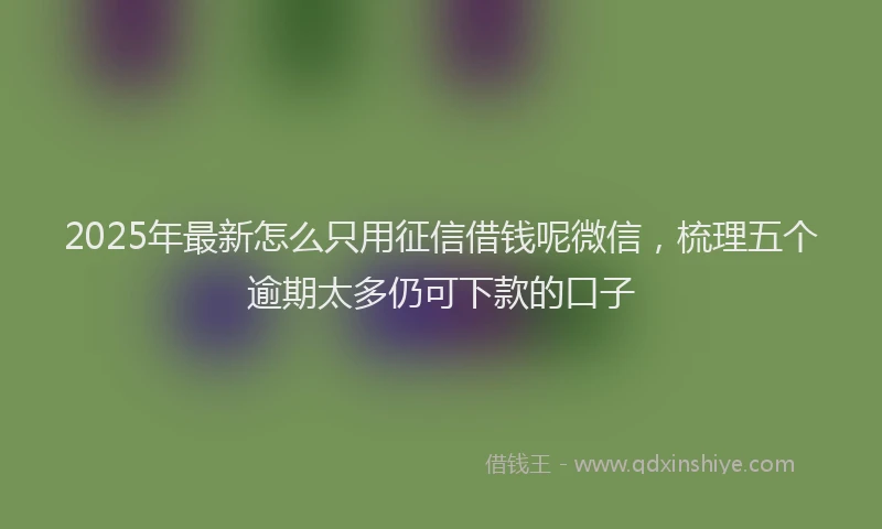 2025年最新怎么只用征信借钱呢微信，梳理五个逾期太多仍可下款的口子