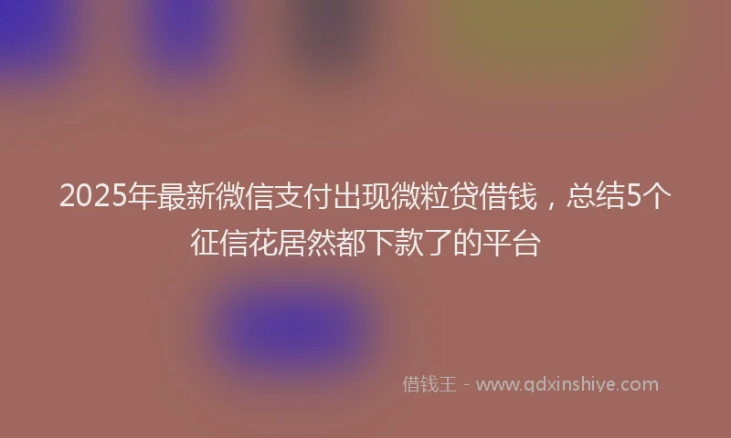 2025年最新微信支付出现微粒贷借钱，总结5个征信花居然都下款了的平台