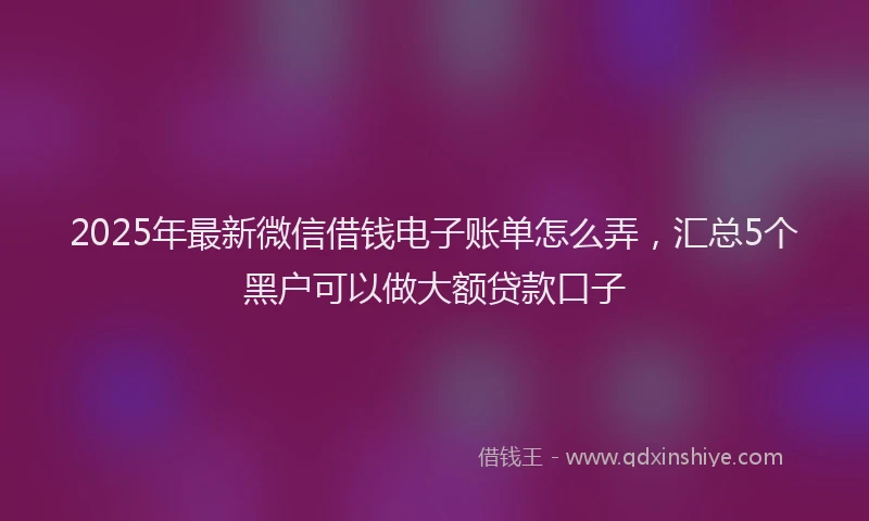 2025年最新微信借钱电子账单怎么弄，汇总5个黑户可以做大额贷款口子