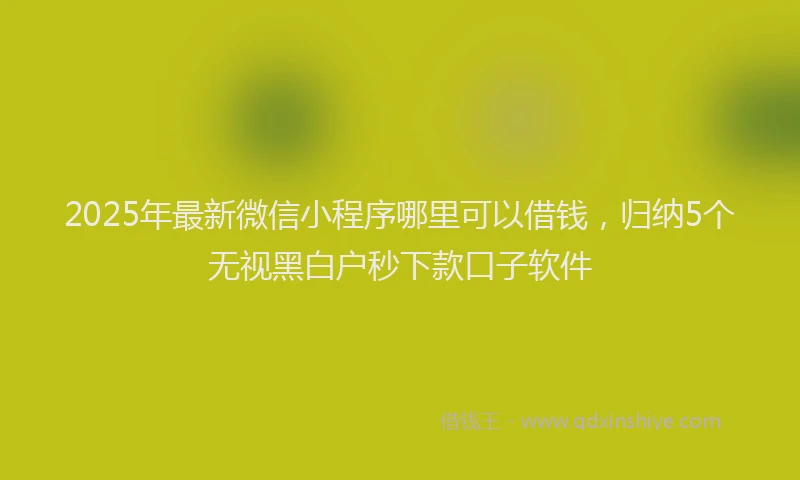2025年最新微信小程序哪里可以借钱，归纳5个无视黑白户秒下款口子软件