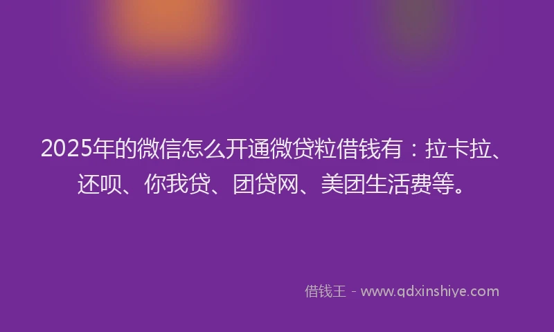 2025年的微信怎么开通微贷粒借钱有：拉卡拉、还呗、你我贷、团贷网、美团生活费等。