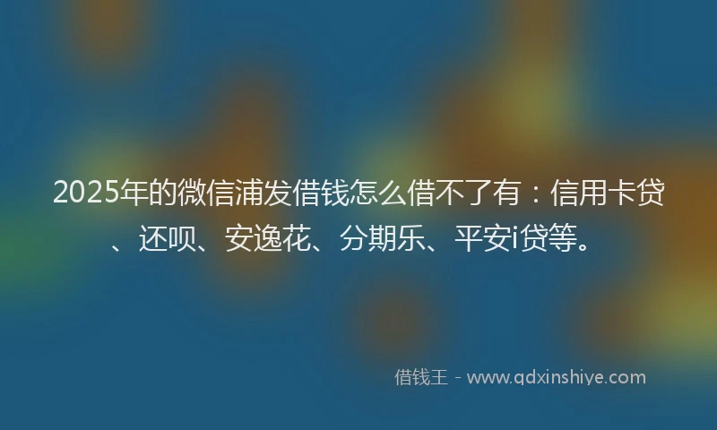 2025年的微信浦发借钱怎么借不了有：信用卡贷、还呗、安逸花、分期乐、平安i贷等。