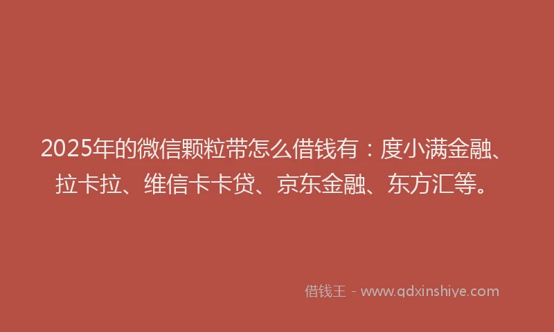 2025年的微信颗粒带怎么借钱有：度小满金融、拉卡拉、维信卡卡贷、京东金融、东方汇等。