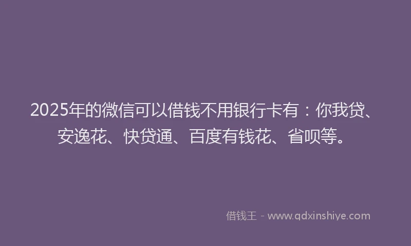 2025年的微信可以借钱不用银行卡有：你我贷、安逸花、快贷通、百度有钱花、省呗等。