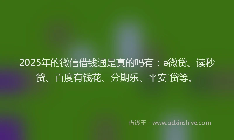 2025年的微信借钱通是真的吗有：e微贷、读秒贷、百度有钱花、分期乐、平安i贷等。