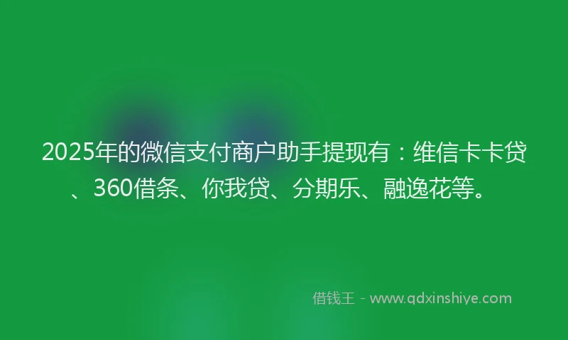 2025年的微信支付商户助手提现有：维信卡卡贷、360借条、你我贷、分期乐、融逸花等。