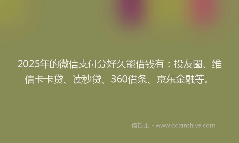 2025年的微信支付分好久能借钱有：投友圈、维信卡卡贷、读秒贷、360借条、京东金融等。