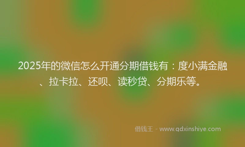 2025年的微信怎么开通分期借钱有：度小满金融、拉卡拉、还呗、读秒贷、分期乐等。