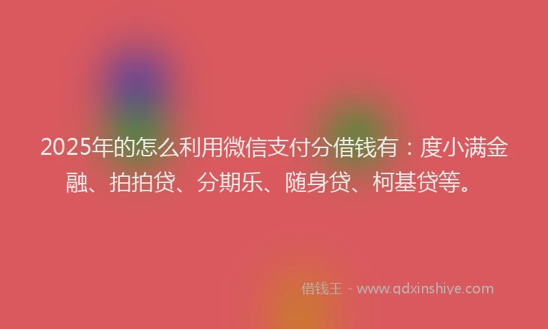 2025年的怎么利用微信支付分借钱有：度小满金融、拍拍贷、分期乐、随身贷、柯基贷等。