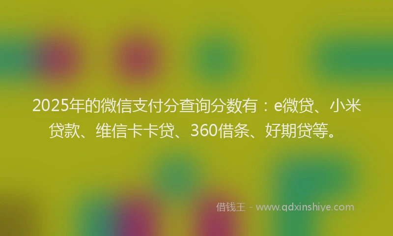 2025年的微信支付分查询分数有：e微贷、小米贷款、维信卡卡贷、360借条、好期贷等。