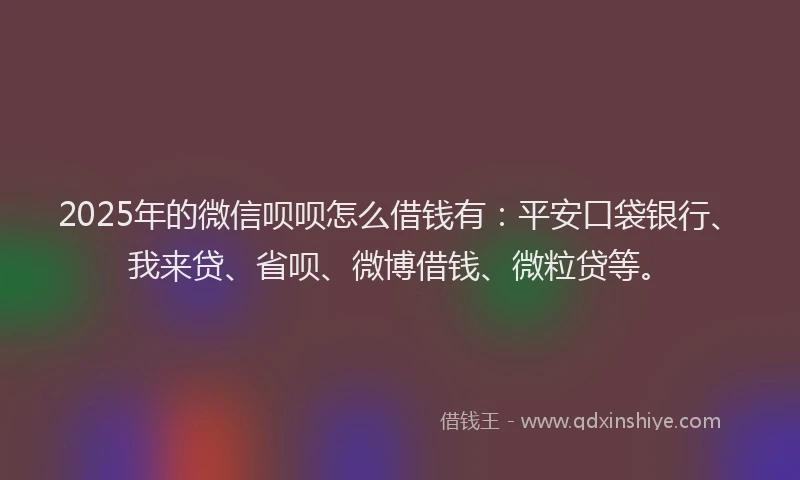 2025年的微信呗呗怎么借钱有：平安口袋银行、我来贷、省呗、微博借钱、微粒贷等。