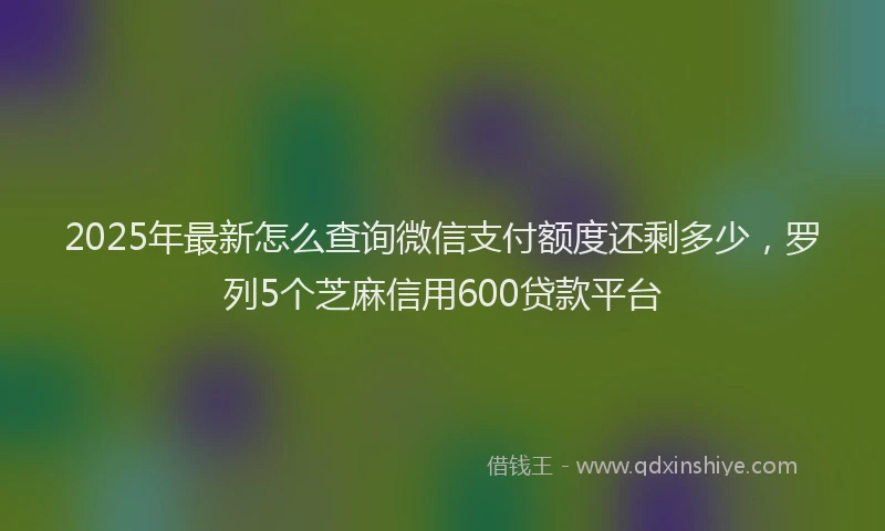 2025年最新怎么查询微信支付额度还剩多少，罗列5个芝麻信用600贷款平台