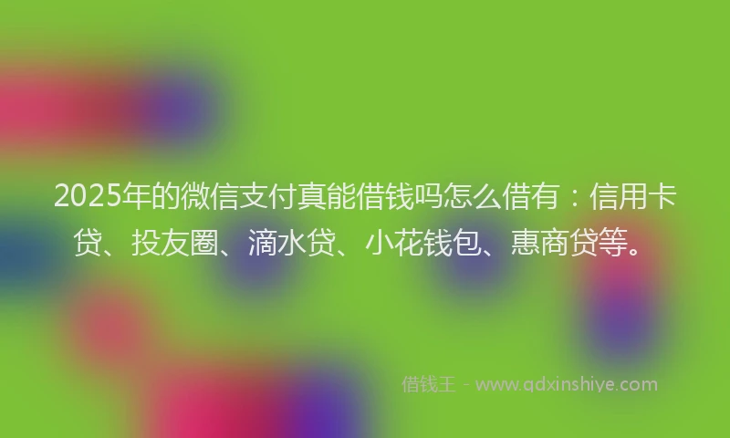 2025年的微信支付真能借钱吗怎么借有：信用卡贷、投友圈、滴水贷、小花钱包、惠商贷等。