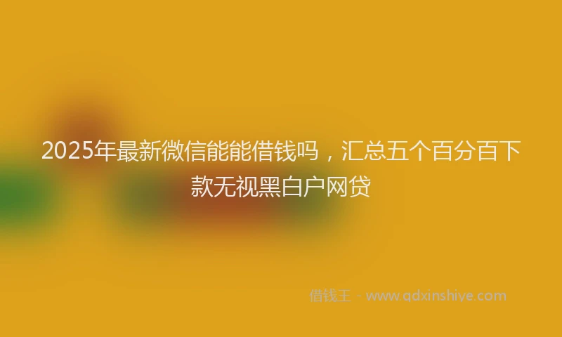 2025年最新微信能能借钱吗，汇总五个百分百下款无视黑白户网贷