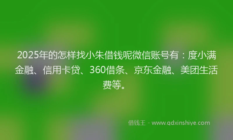 2025年的怎样找小朱借钱呢微信账号有：度小满金融、信用卡贷、360借条、京东金融、美团生活费等。