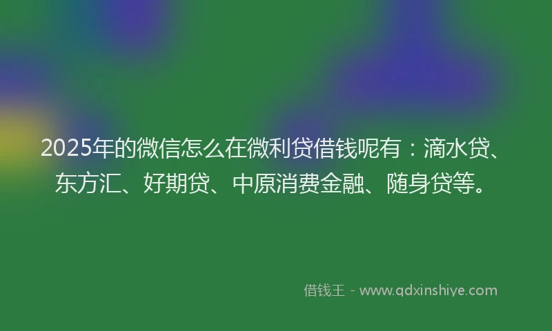 2025年的微信怎么在微利贷借钱呢有：滴水贷、东方汇、好期贷、中原消费金融、随身贷等。