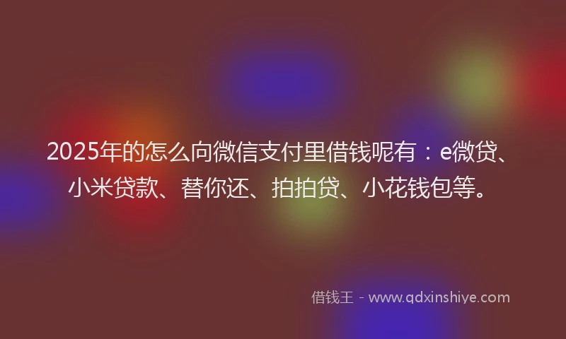 2025年的怎么向微信支付里借钱呢有：e微贷、小米贷款、替你还、拍拍贷、小花钱包等。