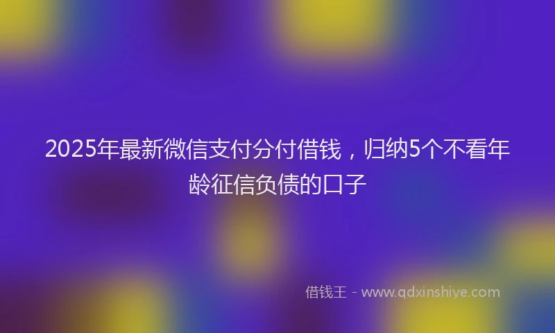 2025年最新微信支付分付借钱，归纳5个不看年龄征信负债的口子