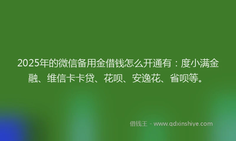 2025年的微信备用金借钱怎么开通有：度小满金融、维信卡卡贷、花呗、安逸花、省呗等。
