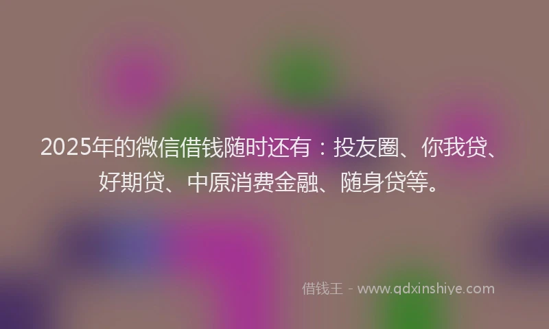 2025年的微信借钱随时还有：投友圈、你我贷、好期贷、中原消费金融、随身贷等。