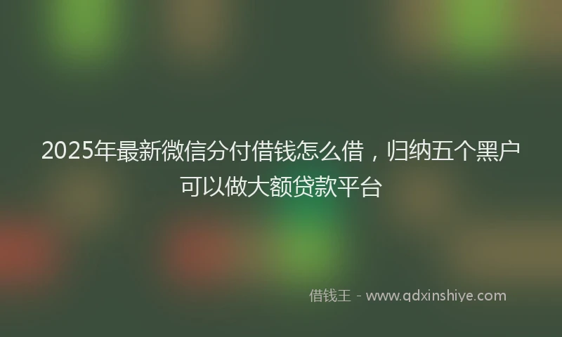 2025年最新微信分付借钱怎么借，归纳五个黑户可以做大额贷款平台