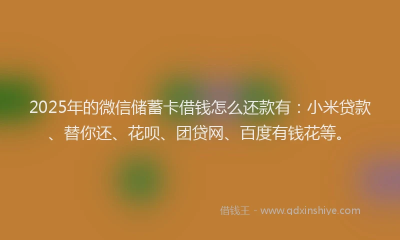 2025年的微信储蓄卡借钱怎么还款有：小米贷款、替你还、花呗、团贷网、百度有钱花等。