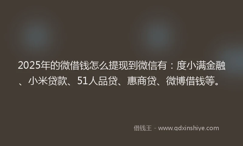 2025年的微借钱怎么提现到微信有：度小满金融、小米贷款、51人品贷、惠商贷、微博借钱等。
