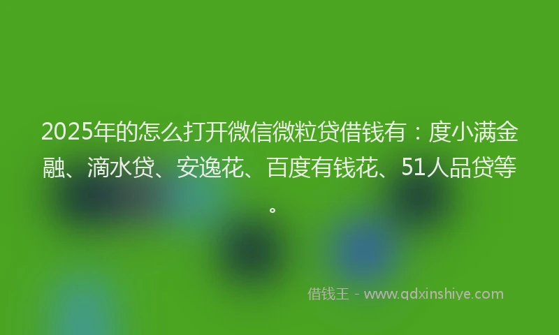 2025年的怎么打开微信微粒贷借钱有：度小满金融、滴水贷、安逸花、百度有钱花、51人品贷等。