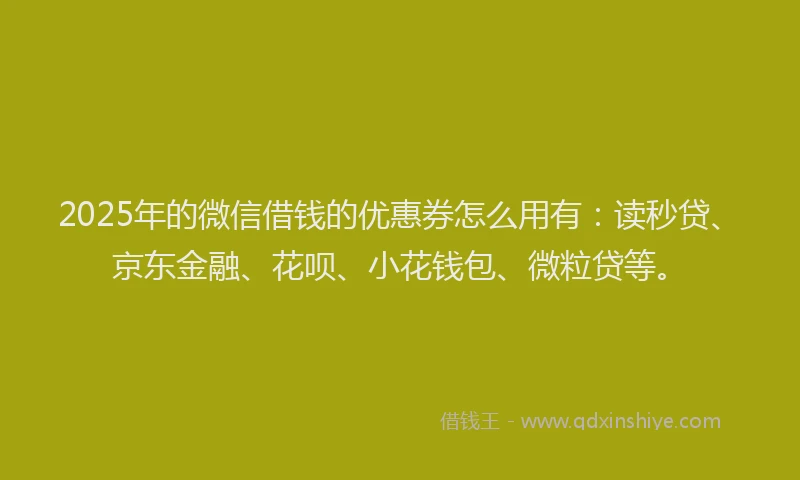 2025年的微信借钱的优惠券怎么用有：读秒贷、京东金融、花呗、小花钱包、微粒贷等。
