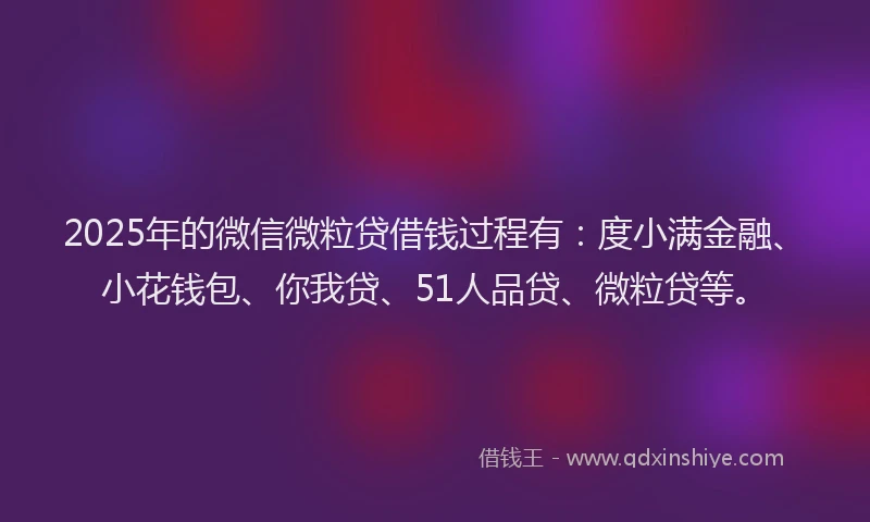 2025年的微信微粒贷借钱过程有：度小满金融、小花钱包、你我贷、51人品贷、微粒贷等。